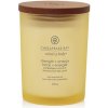 Chesapeake Bay Strength + Energy vonná sviečka 250 g