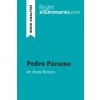 Pedro Páramo by Juan Rulfo (Book Analysis)