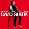 Guetta David: Nothing But The Beat - 2Vinyl (LP)