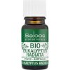 Saloos Esenciálny olej Eukalyptus radiata BIO 10 ml