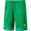 Puma cup kids