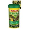 Dajana Spirulina Wafers 1000 ml