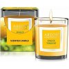 AREON Scented Candle Dolce Viaggio 120 g