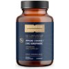Quicksilver Scientific Zinc Ionophore 60 kapslí
