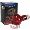 Infrared Heat Spot-Lamp red 50 W