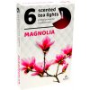 Admit Tea Lights Magnolia 6 ks