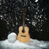 Dowina Puella D-s akustická gitara