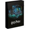 Baagl A4 Jumbo Harry Potter čierna