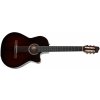 Godin Arena Pro II