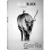 Ice is Black - Laurent Baheux
