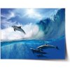 Sablio Plagát Delfíny vo vlnách - 60x40 cm