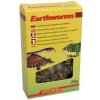 Lucky Reptile Earthworms 10g - exp. 11/24 - 1ks skladem