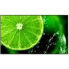 NEC MultiSync E988 - 98 Třída úhlopříčky (97.5 zobrazitelný) displej LCD s LED podsvícením - digital signage - 4K UHD (2160p) 3840 x 2160 - HDR - přímé LED podsvícení - černá