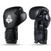 Boxerské rukavice DBX BUSHIDO B-ProFight 10oz.