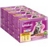 Megabalenie Whiskas Junior kapsičky 48 x 85 g / 100 g - hydinový výber v želé