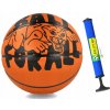 Lopta NIKE EVERYDAY PLAYGROUND GRAPHIC 8P veľ. 7