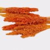 Trs Cantal Grass - Orange