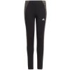 Leggings adidas G Sea Tight Jr GT1413 (115927) Black 170 CM