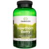 Swanson Hloh Hawthorn 565 mg 250 kapsúl