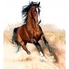 Gaira Malovanie podľa čísel Bežiaci kôň