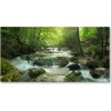 Fotoobraz na skle Vodopád v lese 100x50 cm