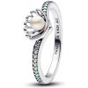 Pandora 193654C01