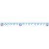 Procos Banner HB Frozen 2