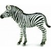 Collecta 88850 Zebra