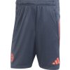 Šortky adidas FC Bayern 2025/26 Tiro25 Competition Training Shorts jn8776 Veľkosť S