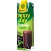 Happy day Čierna ribezľa 1l