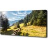Foto obraz na plátne do obývačky Jeseň v horách 100x50 cm