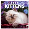 NOTIQUE Poznámkový kalendár Mačiatka 2027, 30 x 30 cm (PGP-36312-V)