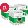 Nero Nobile Kapsuly - Zelený matcha čaj s mätou pre Dolce Gusto 16x6 ks (96 ks)