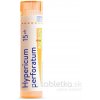 Hypericum Perforatum gra.1 x 4 g 15CH