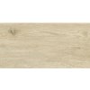 Dlažba imitácia dreva Home Wood Light 60 x 30 cm