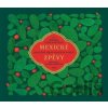 Mexické zpěvy Miguel León-Portilla