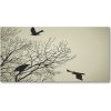 Foto obraz akrylové sklo Vrany na strome 100x50 cm