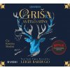 Griša - Světlo a stíny (audiokniha) (Kristýna Skružná, Leigh Bardugo)