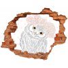 Diera 3D fototapeta nálepka Owl v veniec 90x70 cm
