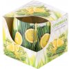 Vonná sviečka v skle dekoračná v krabičke, Citronella 75x75mm