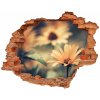 Fototapeta diera na stenu 3D Jarné kvety 90x70 cm