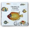 Samuel Fallours: Tropical Fishes of the East Indies - Theodore W. Pietsch