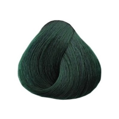 Black Glam Color s permanentná farba na vlasy Ivy Green C6 100 ml