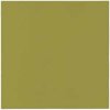 Paw Airlaid obrúsky L Monocolor olive 50ks 40x40cm