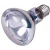 Neodymium Basking-Spot-Lamp 100 W