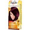 Schwarzkopf Palette Color Shampoo 339 modročierna