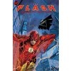 The Flash: The Fastest Man Alive (Porter Kenny)