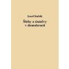 Šlehy a úsměvy v demokracii - Josef Kubík