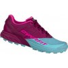 Dynafit Alpine Beet red