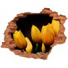 Fototapeta diera na stenu Žlté tulipány 90x70 cm